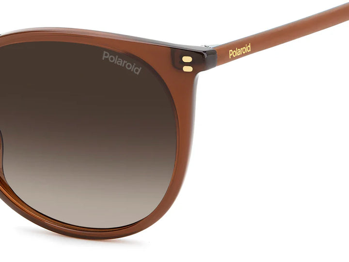Polaroid PLD 4208/S/X 09Q Brown Kadın Güneş Gözlüğü