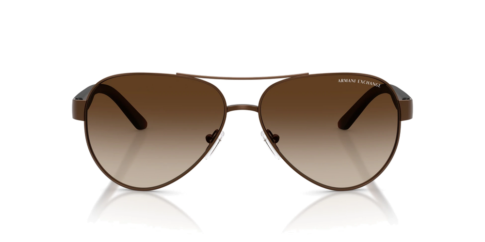 Armani Exchange AX 2034 605813 59 Unisex Güneş Gözlüğü