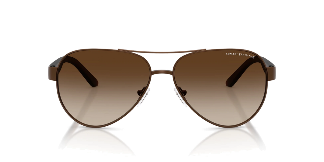 Armani Exchange AX 2034 605813 59 Unisex Güneş Gözlüğü