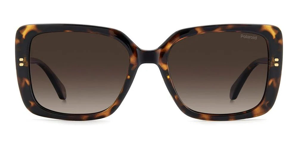 Polaroid PLD 4199/S/X 086 Havana Unisex Güneş Gözlüğü