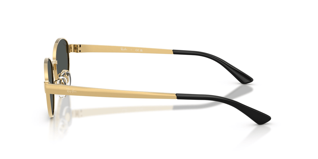 Ray-Ban RB 3774D 001/87 55 Kadın Güneş Gözlüğü