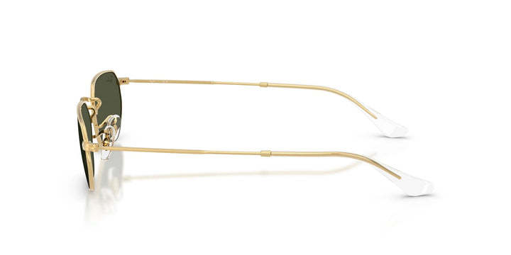 Ray-Ban RB 3947 001/31 54 Unisex Güneş Gözlüğü