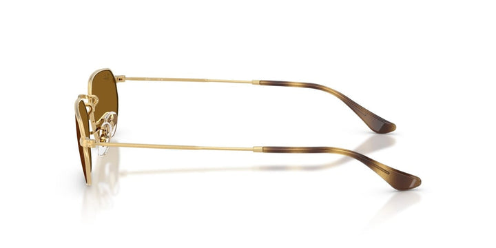 Ray-Ban RB 3947 001/33 54 Unisex Güneş Gözlüğü