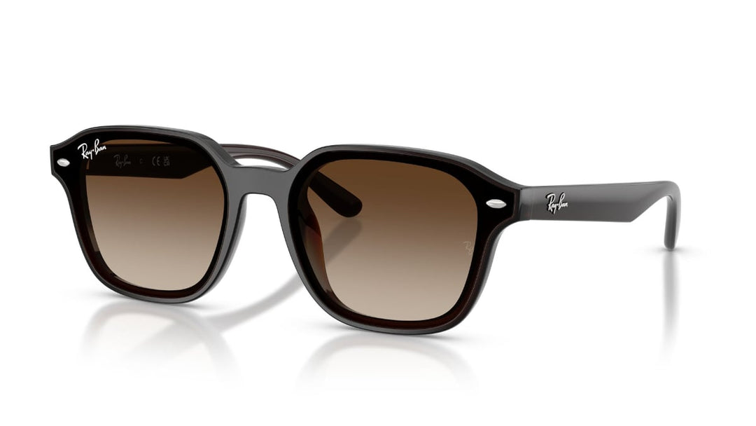 Ray-Ban RB 4458D 714/13 65 Unisex Güneş Gözlüğü