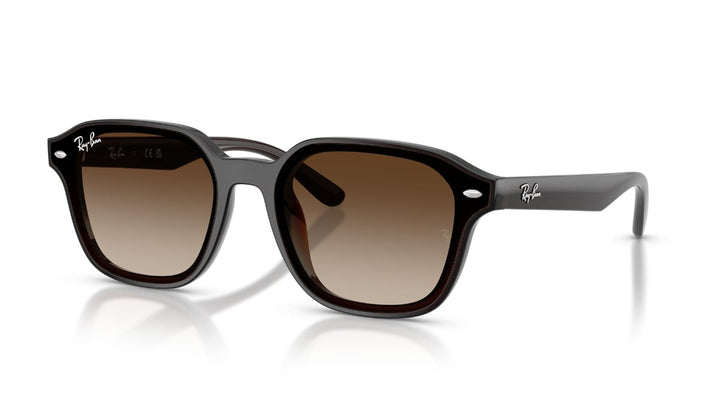 Ray-Ban RB 4458D 714/13 65 Unisex Güneş Gözlüğü