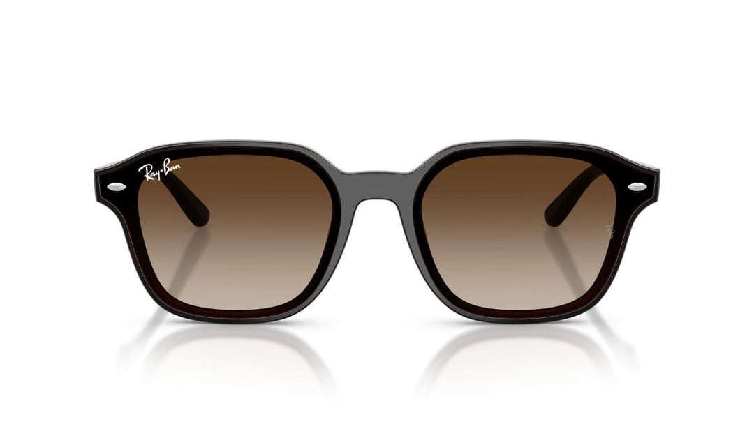 Ray-Ban RB 4458D 714/13 65 Unisex Güneş Gözlüğü