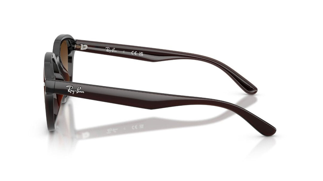 Ray-Ban RB 4458D 714/13 65 Unisex Güneş Gözlüğü
