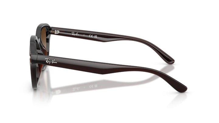 Ray-Ban RB 4458D 714/13 65 Unisex Güneş Gözlüğü
