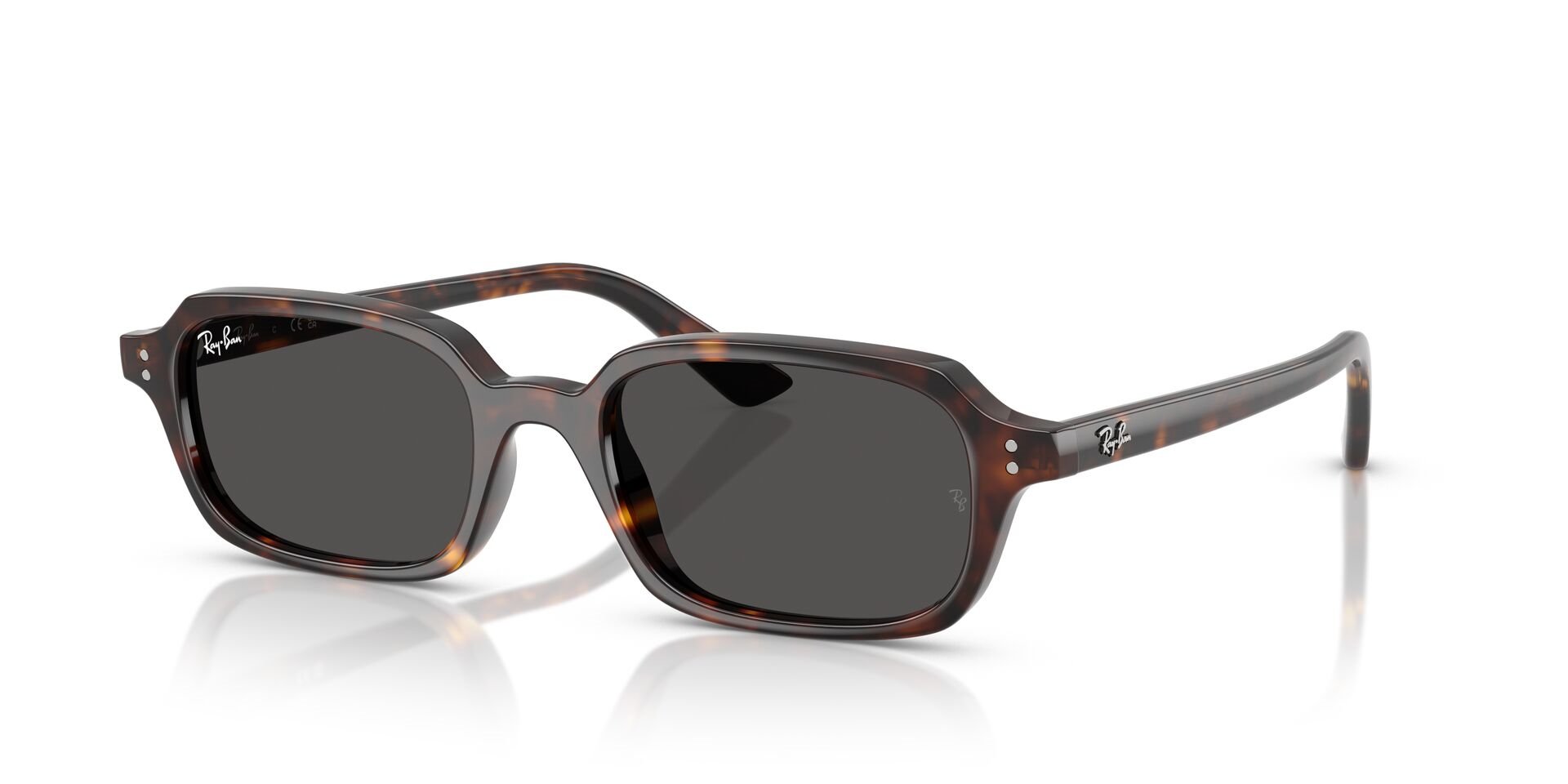レイラ Ray-Ban 0RB 4456 Zaya 6677/81 50 Unisex Güneş Gözlüğü | Emre Optik