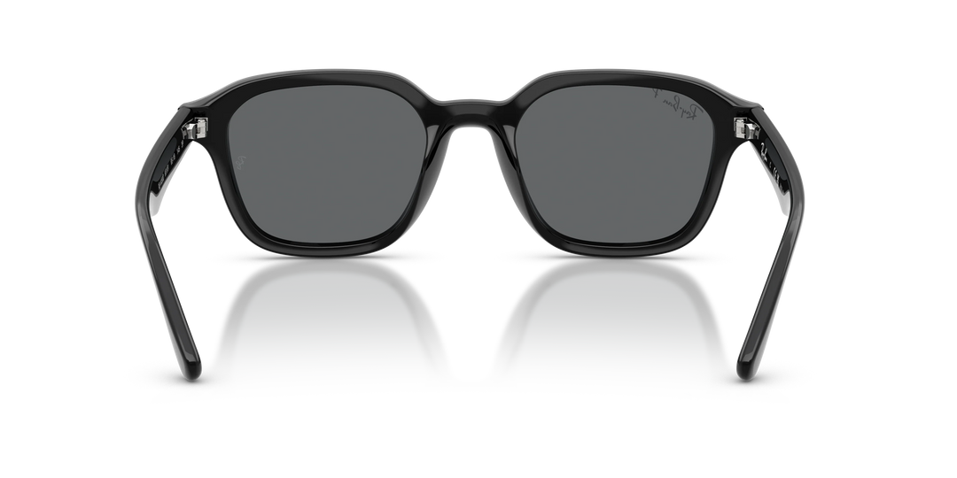 Ray-Ban RB 4458D 601/81 65 Unisex Güneş Gözlüğü