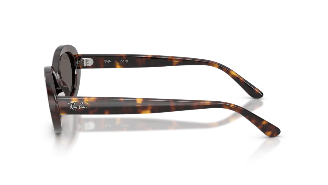 Ray-Ban RB 2223 902/B1 54 Kadın Güneş Gözlüğü