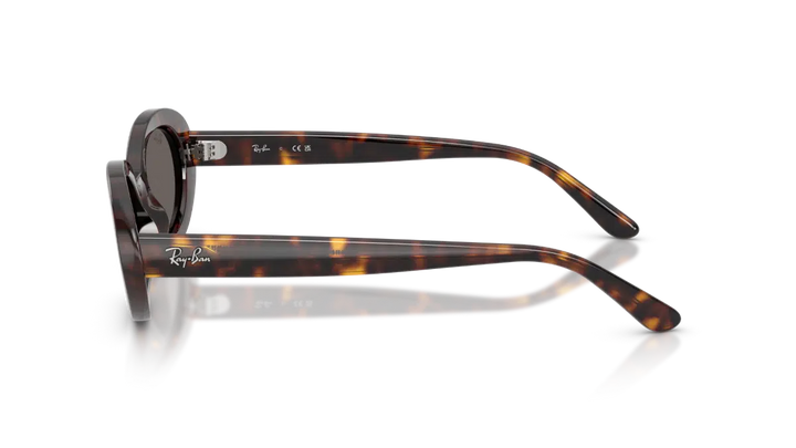 Ray-Ban RB 2223 902/B1 54 Kadın Güneş Gözlüğü