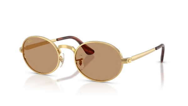 Ray-Ban RB 3931 001/53 54 Unisex Güneş Gözlüğü