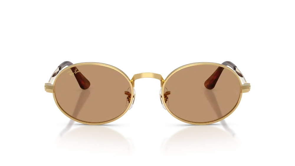 Ray-Ban RB 3931 001/53 54 Unisex Güneş Gözlüğü