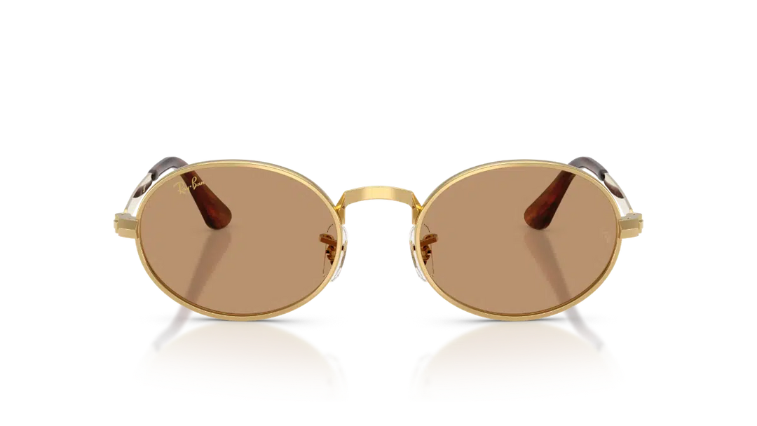 Ray-Ban RB 3931 001/53 54 Unisex Güneş Gözlüğü