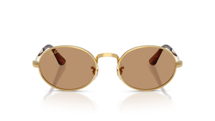 Ray-Ban RB 3931 001/53 54 Unisex Güneş Gözlüğü