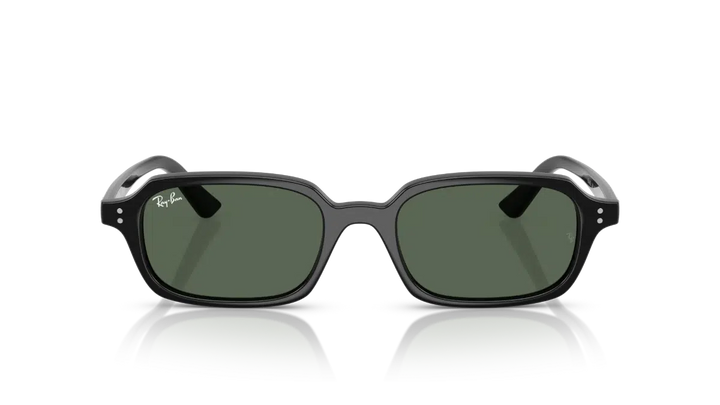 Ray-Ban Zuri RB 4455 667771 49 Unisex Güneş Gözlüğü
