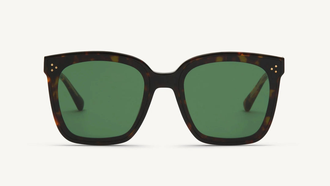 Vanity Effect Bonnie Sun Tortoise Güneş Gözlüğü