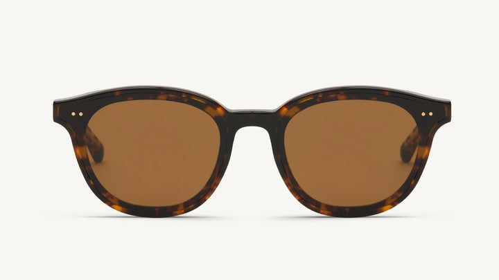 Vanity Effect Clyde Sun Tortoise Güneş Gözlüğü